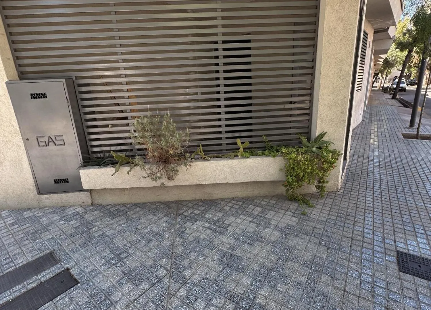 Departamento Confortable Mendoza 0*,  Argentina